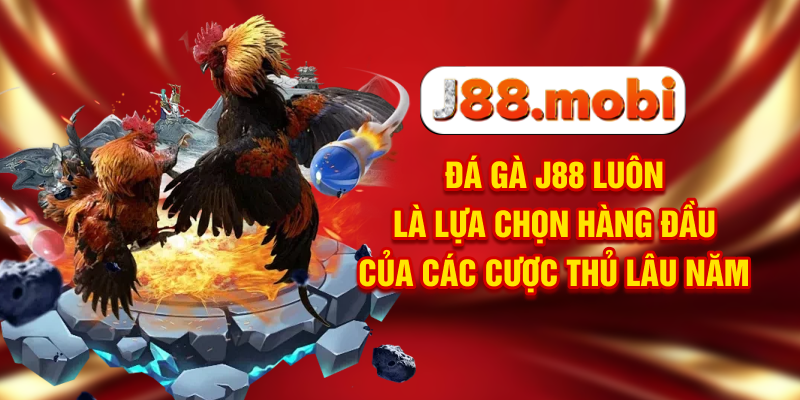 Đá Gà J88 Nơi Trực Tiếp Các Màn Tranh Đấu Đỉnh Cao Đá gà J88 luôn là lựa chọn hàng đầu của các cược thủ lâu năm