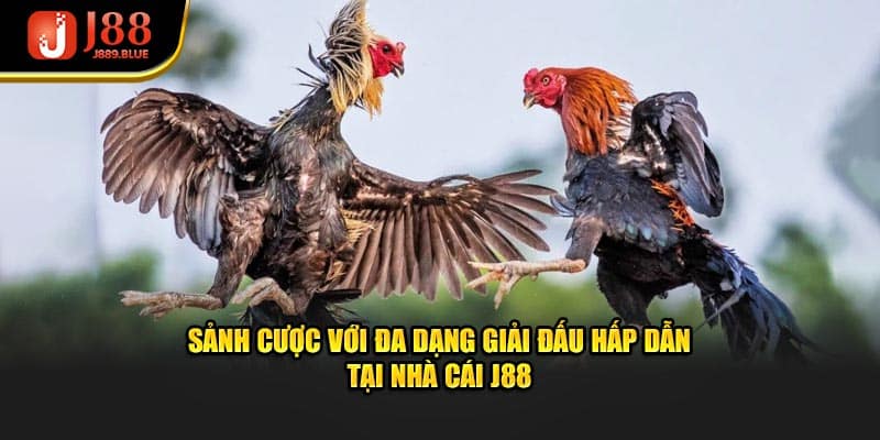 Sảnh cược với đa dạng giải đấu hấp dẫn tại nhà cái J88